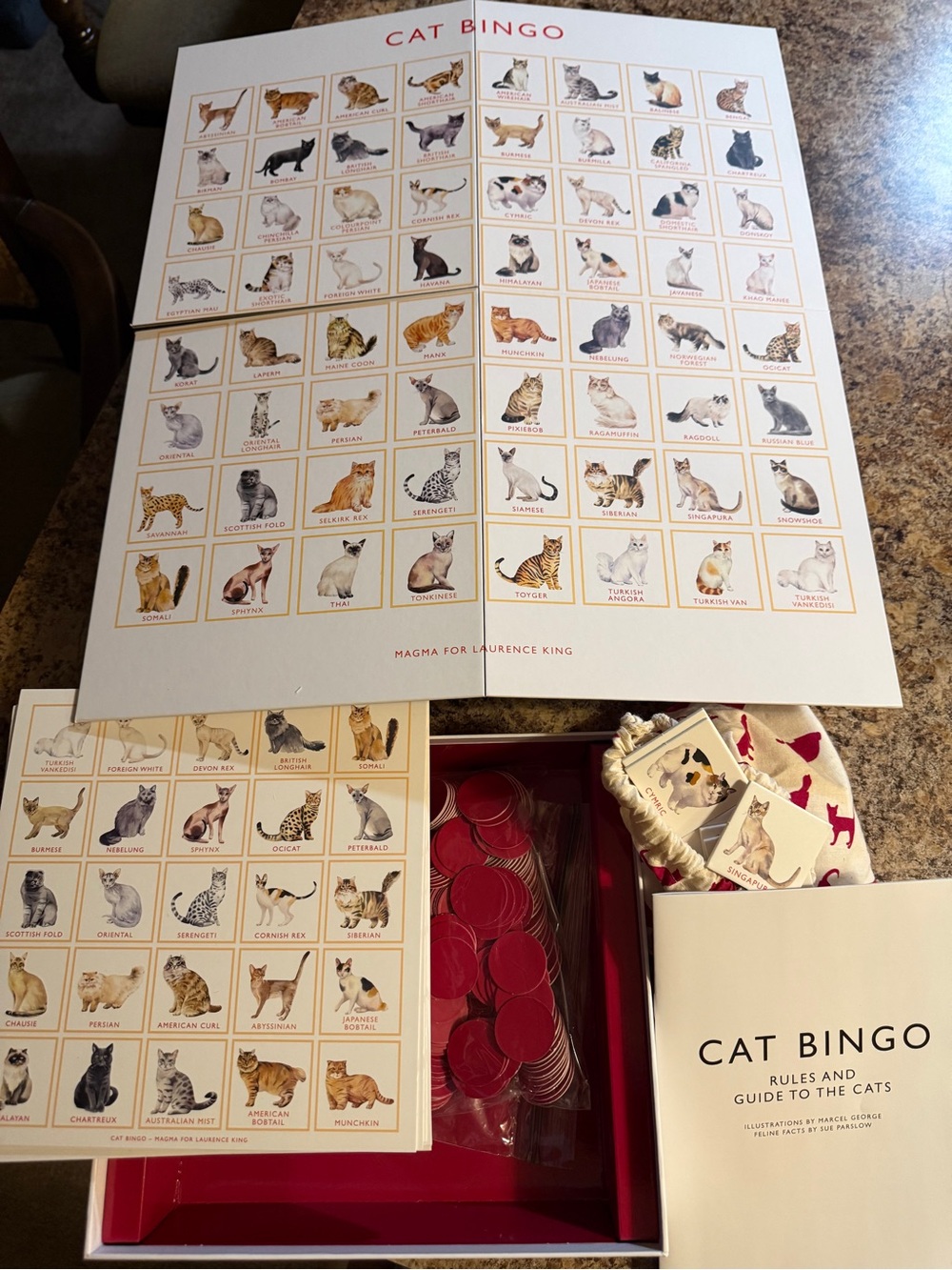 Cat Bingo Game - Picture 6 of 6